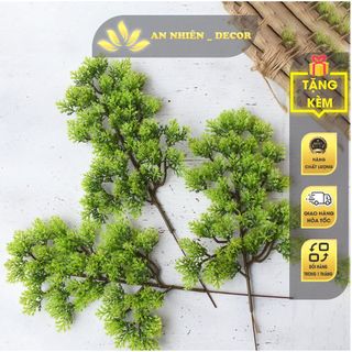 Mô hình lá Tùng bách (Màu xanh) - Tráng trí gỗ, lũa bonsai tuyệt đẹp - Hàng chất lượng cao, màu tự nhiên.