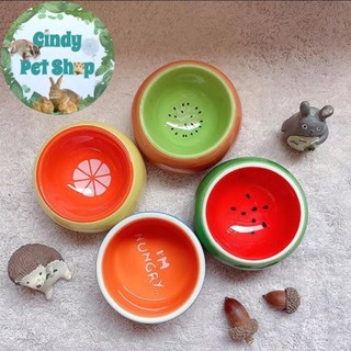 Chén sứ trái cây đựng thức ăn cho Hamster, Sóc Bông, Sóc Bay Úc, Sóc Đất...