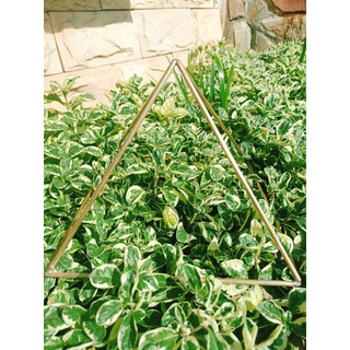 Kim tự tháp 20cm