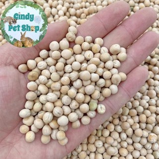 Đậu nành sống 1kg thức ăn cho Hamster