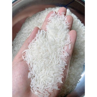bao 5kg gạo St25 lúa tôm dẻo đậm vị cơm
