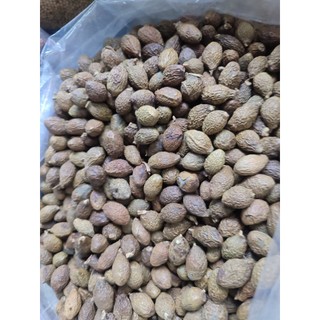 HẠT ĐƯỜI ƯƠI LOẠI 1(500G-1KG)