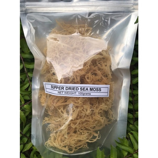 100 gram Rong sụn khô tự nhiên màu trắng / không chất bảo quản / organics_dried_sea _moss