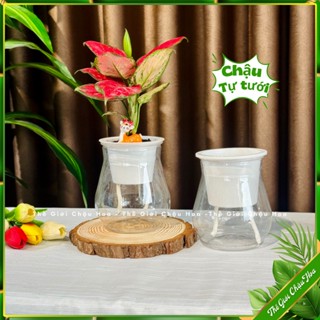 Chậu thuỷ sinh tự tưới, chậu nhựa trồng cây thông minh, trồng cây và hoa, trang trí bàn làm việc, phòng khách