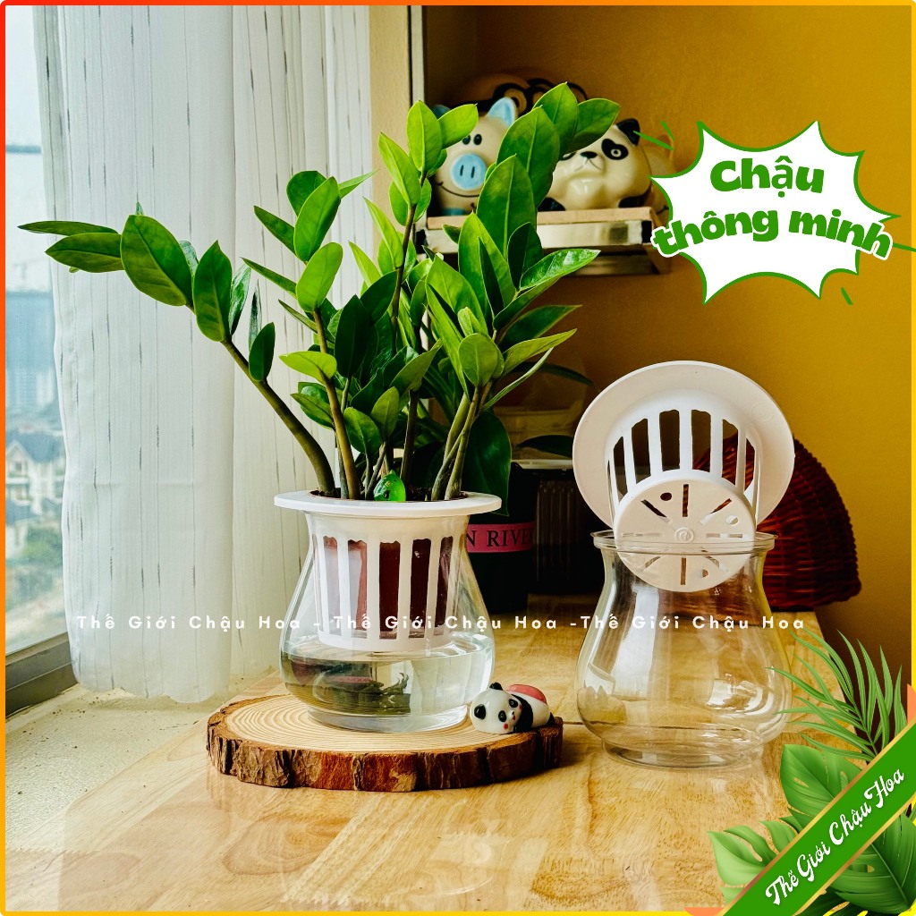 Bình thuỷ sinh trồng cây thông minh, chậu tự tưới trồng cây và hoa, trang trí văn phòng, bàn làm việc, phòng khách