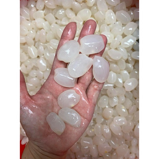 Hạt Đác Tươi bịch 1kg (giao tphcm)