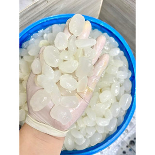 Hạt Đác Tươi bịch 1kg (giao tphcm)