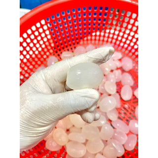 Hạt Đác Tươi bịch 1kg (giao tphcm)