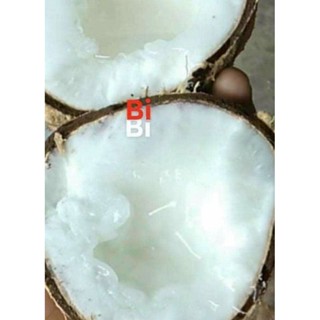 Nguyên trái Dừa sáp/dừa đặc ruột/dừa kem/makapuno loại đặc bi từ 700g- 1.2 kí/trái