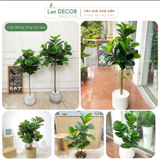 💥 Cây bàng giả - Cây bàng Singapore giả trang trí decor nhà cửa, văn phòng tạo không gian sang trọng Landecor