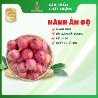Hành tím Ấn Độ - túi 500gr - Hàng nhập khẩu chất lượng, củ hành đẹp