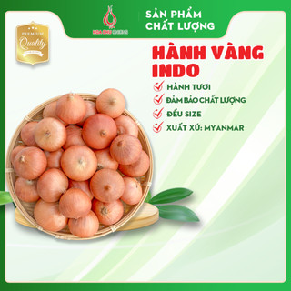 Hành vàng indo - hàng đẹp - túi 2kg