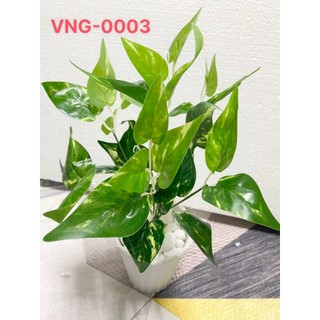 Tường cây giả - Cây giả trang trí - cây trầu bà đốm, vạn thiên thanh (chưa bao gồm chậu) - VNG-0003