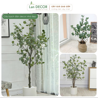 Cây giả - Cây bạch đàn giả, cây kim tiền trang trí decor nhà đẹp, văn phòng làm việc,cây phong thủy hút tài lộc Landecor