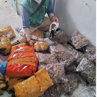 Khô "Vũ nữ chân dài