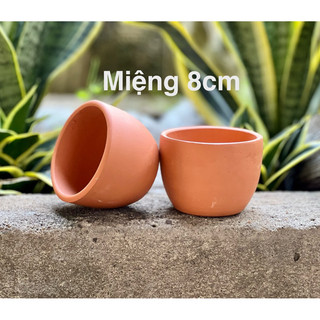 Chậu đất nung trứng size miệng 8cm trồng sen đá, xương rồng