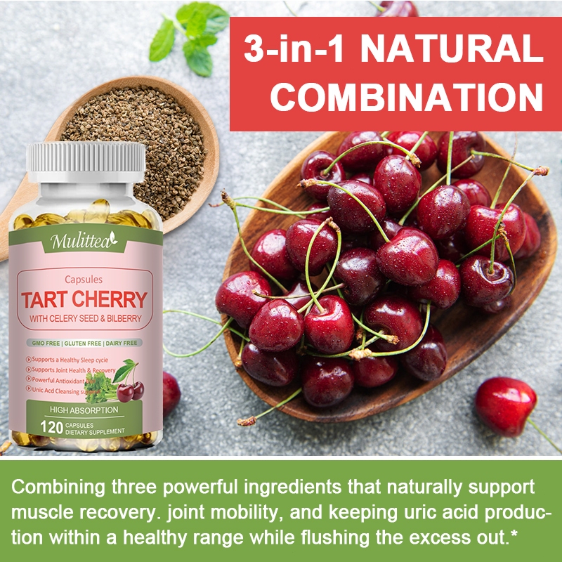 Mulittea Tart Cherry Uric Acid Clean Organic Caraway Seed Chiết xuất Bilberry Hỗ trợ chung Cơ bắp Sức khỏe Ngủ