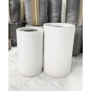 Chậu trồng cây xi măng đá mài trụ tròn màu trắng -