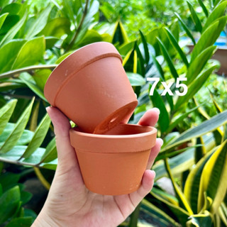 Combo 5 chậu đất nung ly gờ size 7x5cm trồng sen đá, xương rồng