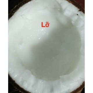 Dừa sáp/dừa đặc ruột/dừa kem/makapuno loại sáp dẻo  3