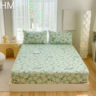 Bộ ga gối cotton organic ga chun trần theo size gồm 3 món 100% cotton