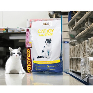 Hạt thức ăn dành cho mèo mọi lứa tuổi CatJoi thơm ngon như Catrang
