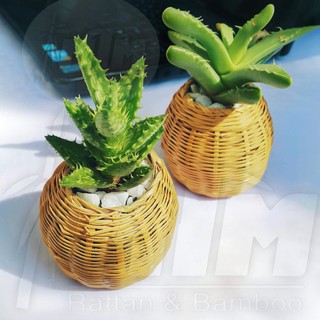 Giỏ tre / Hũ thóc nhí - Giỏ trồng cây, phụ kiện decor, trang trí chụp hình sản phẩm.