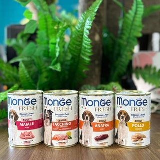 Pate Monge Fresh cho chó lon 400g