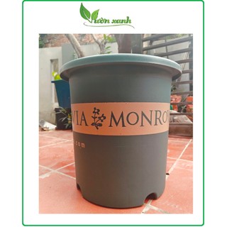 (Mẫu mới) sET 2 Chậu Monrovia 8GL nhập khẩu nhựa dẻo, dày, đẹp chất lượng cao, trồng được cây to