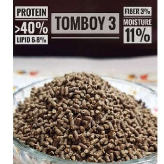 Cám cá vàng Tomboy TB3 1KG hạt chìm - Cám dành cho Ranchu Goldfish