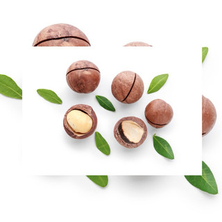 Hạt mắc ca úc ăn liền 500g