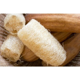 Xơ mướp Vườn nhà Cội bông tắm tẩy da chết cho da