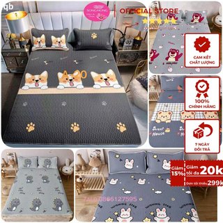 Chiếu Điều Hòa TENCEL COCO Latex 5D New 2024 -kích thước m2/m4/m5m6/m8/2m2 ko có vỏ gối a05