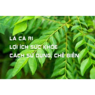 Cành lá cà ri tươi hữu cơ 100g