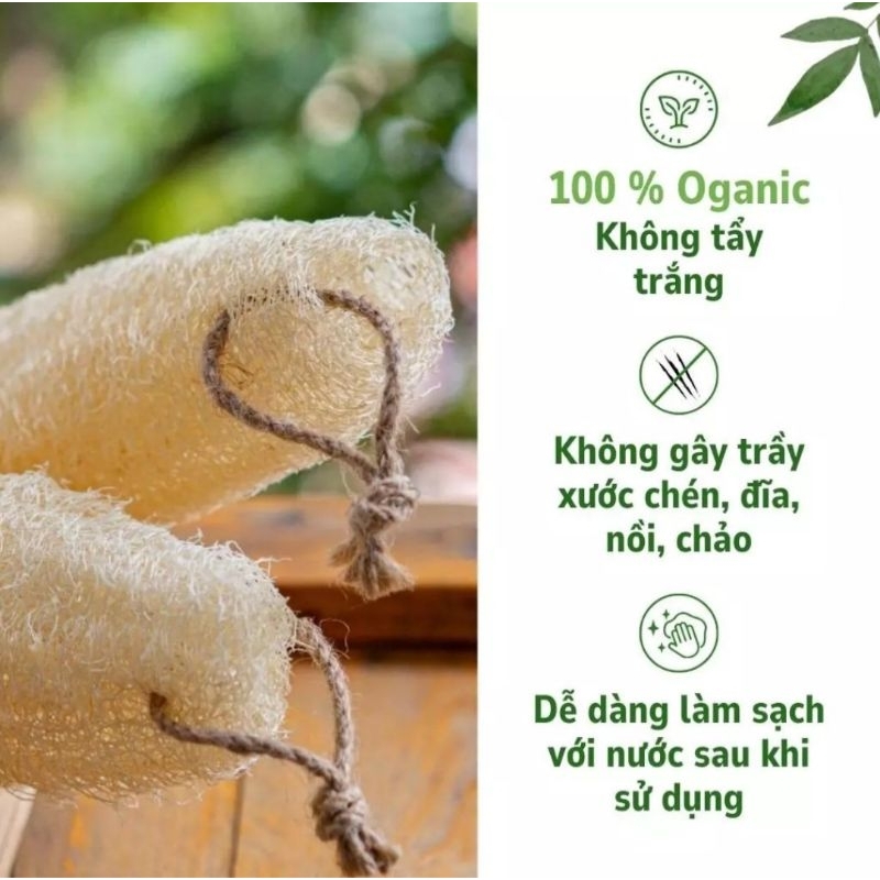 XƠ MƯỚP TỰ NHIÊN 100℅