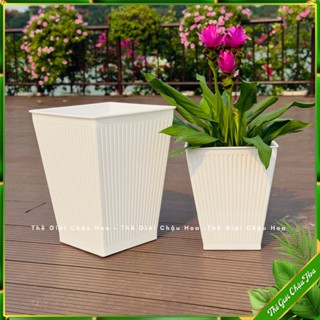  Chậu trồng cây chậu nhựa hình vuông GÂN SỌC dáng cao trồng hoa cây kiểng và rau trang trí sân vườn ,ban công 
