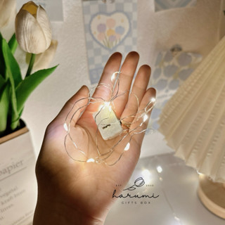 Dây đèn led đom đóm 1m nhấp nháy màu vàng ấm có 3 chế độ nháy, đèn decor quà tặng