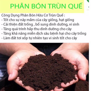 2kg Phân trùn quế tươi dạng mùn nguyên chất