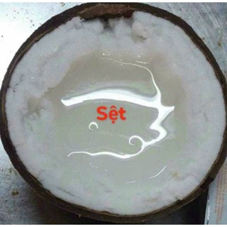 Dừa sáp/Dừa đặc ruột/dừa kem/makapuno