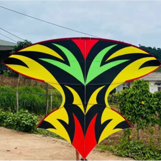 Diều, diều sáo , diều lắp ghép nan cacbon tím vip, độ vai , kích thước 2m5.3m , nhận hàng được kiểm tra shopdieusao90