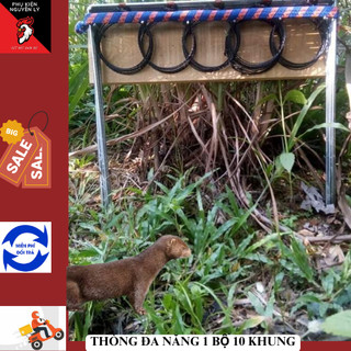 Thòng khung đa năng bẫy chồn, bìm bịp, chim cuốc bền đẹp 50 vòng 10 khung giá rẻ
