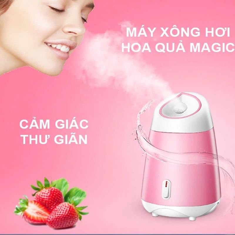 Máy xông hơi mặt Magic Bullet Steaming Face Device