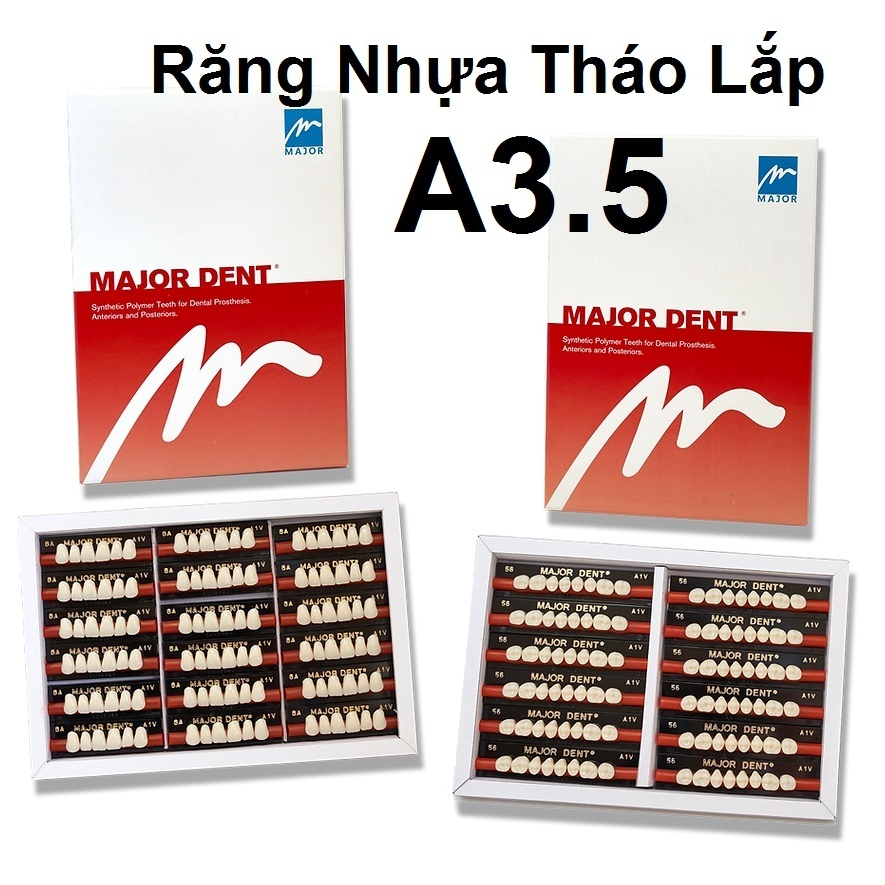 (6 RĂNG DƯỚI) Răng Major nhựa giả tháo lắp màu A3.5