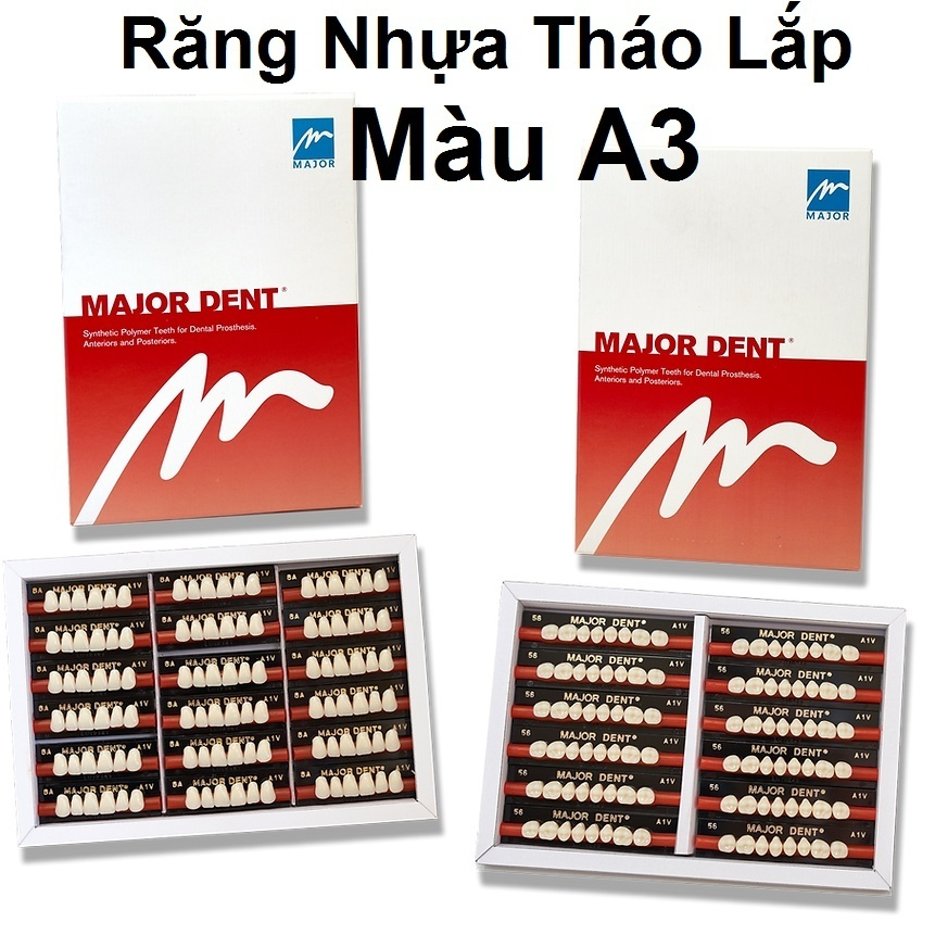 (6 RĂNG TRÊN) Răng Major nhựa giả tháo lắp màu A3