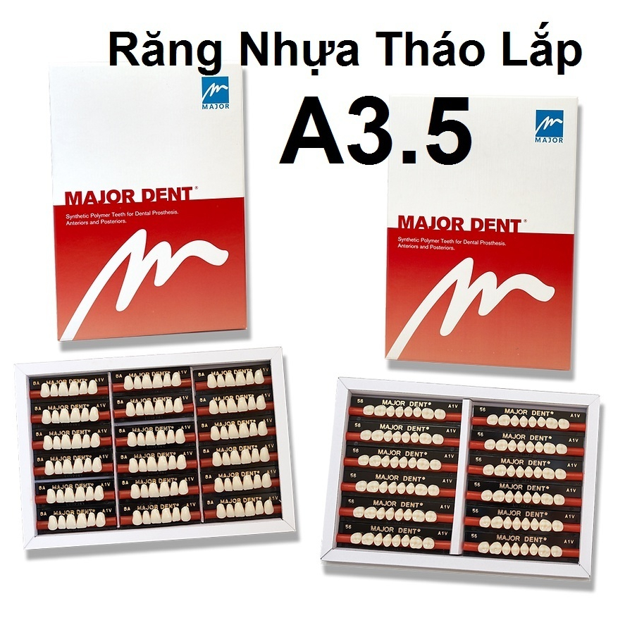 (6 RĂNG TRÊN) Răng Major nhựa giả tháo lắp màu A3.5