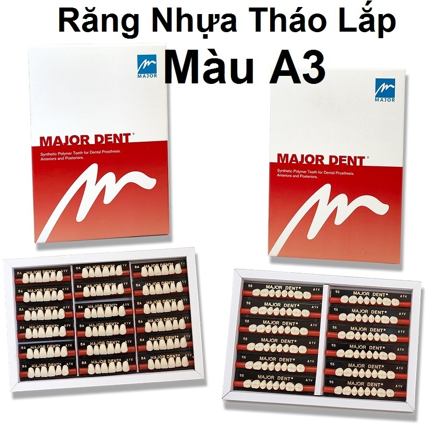 (6 RĂNG DƯỚI) Răng Major nhựa giả tháo lắp màu A3
