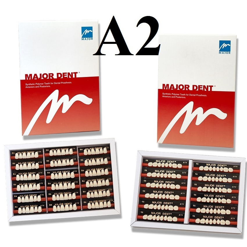 (6 RĂNG TRÊN) Răng Major nhựa giả tháo lắp màu A2