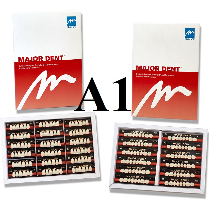 (6 RĂNG TRÊN) Răng Major nhựa giả tháo lắp màu A1