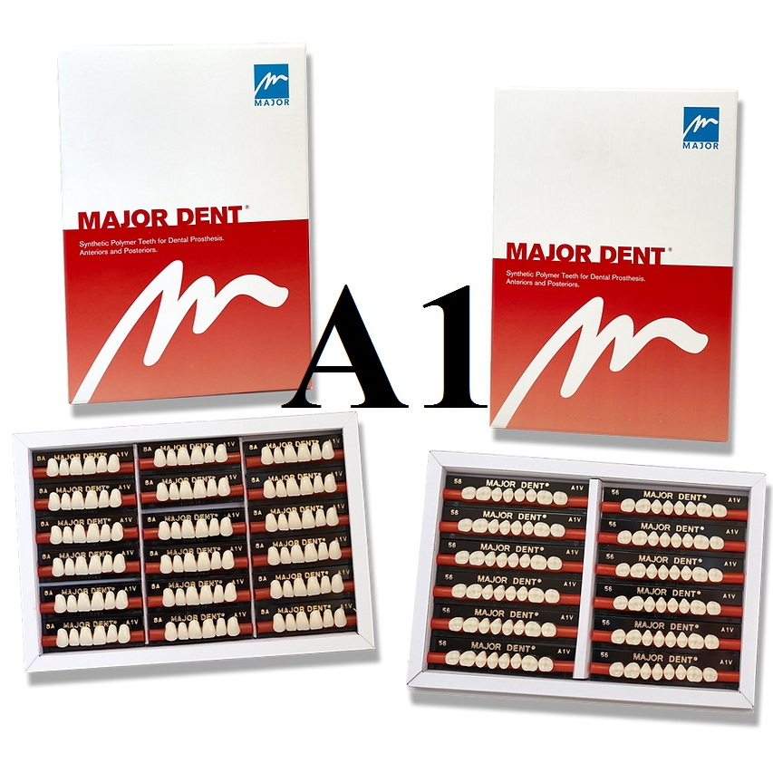 (6 RĂNG DƯỚI) Răng Major nhựa giả tháo lắp màu A1