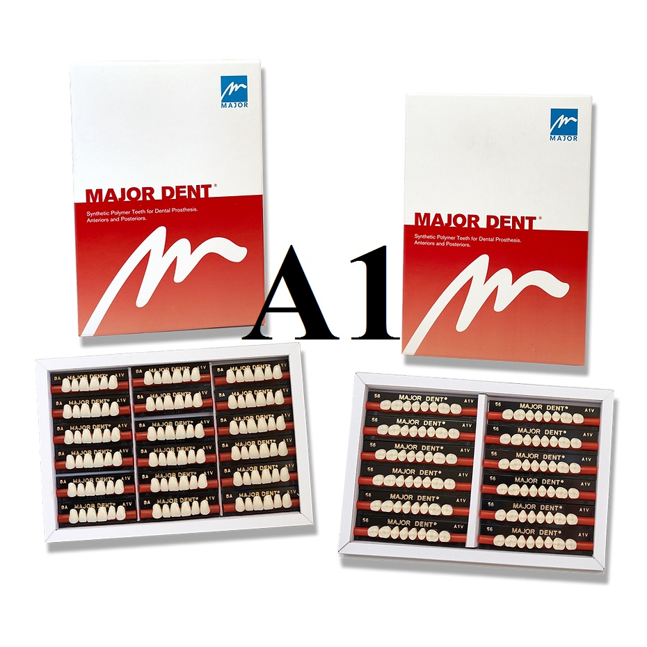 (8 RĂNG TRÊN) Răng Major nhựa giả tháo lắp màu A1